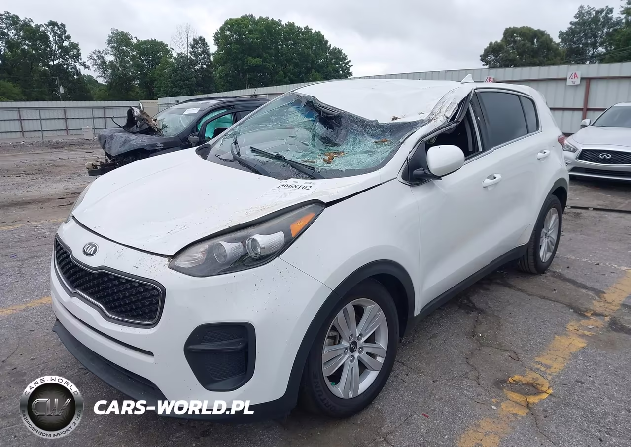 2019 Kia Sportage Lx VIN:KNDPM3AC8K7491747 - 6