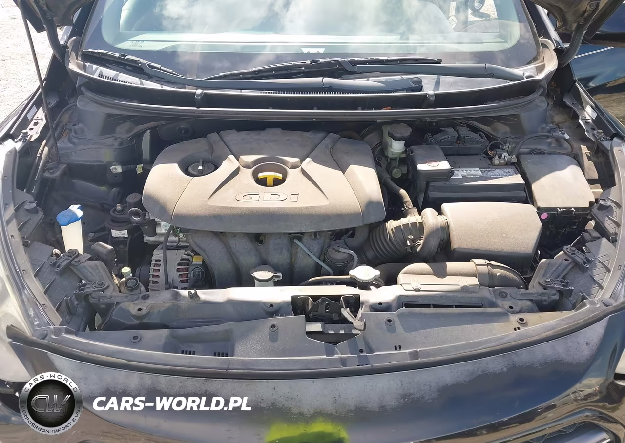 2016 Hyundai Elantra Gt VIN:KMHD35LH9GU335229 - 10