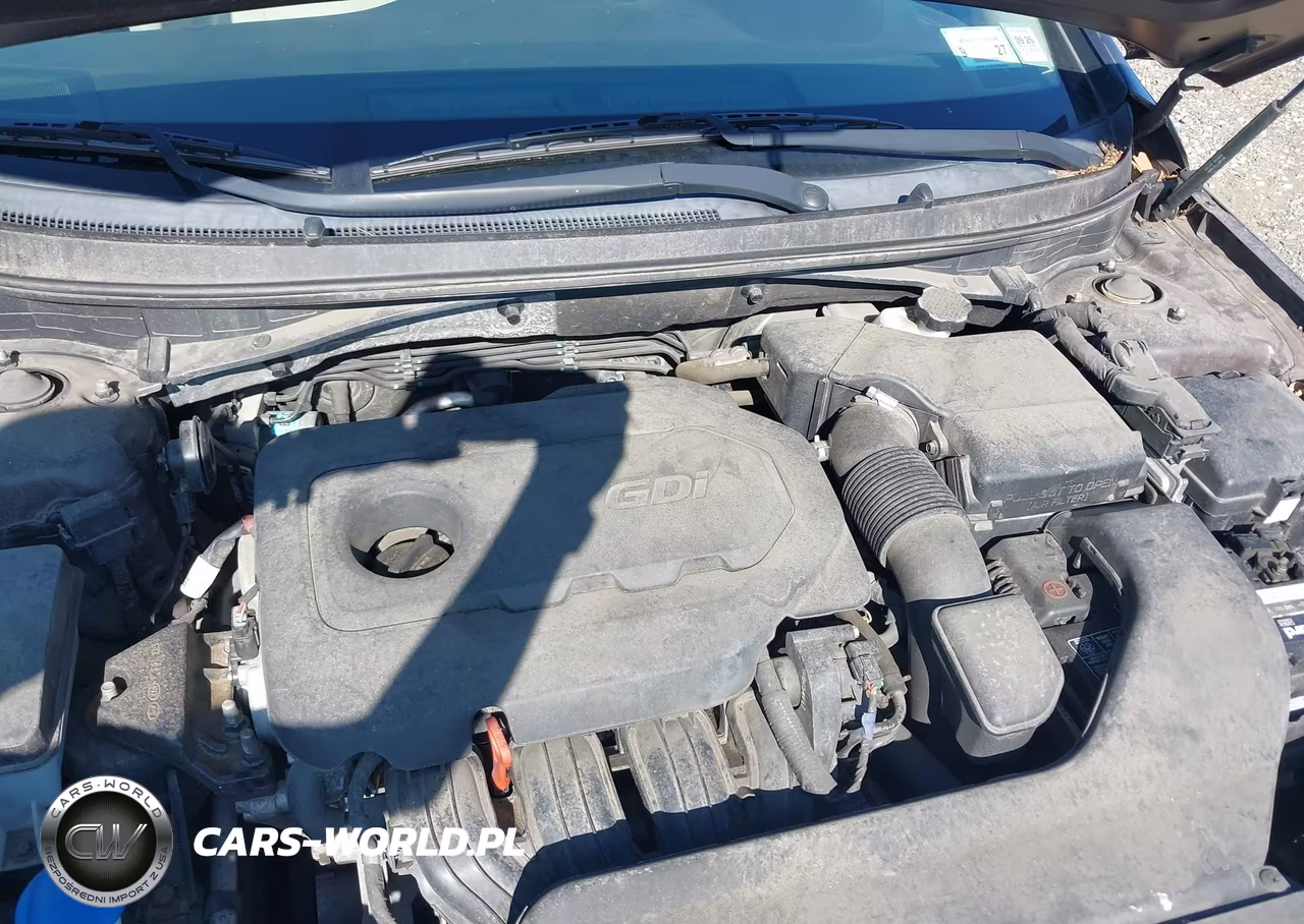 2016 Hyundai Sonata Se VIN:5NPE24AFXGH356432 - 10