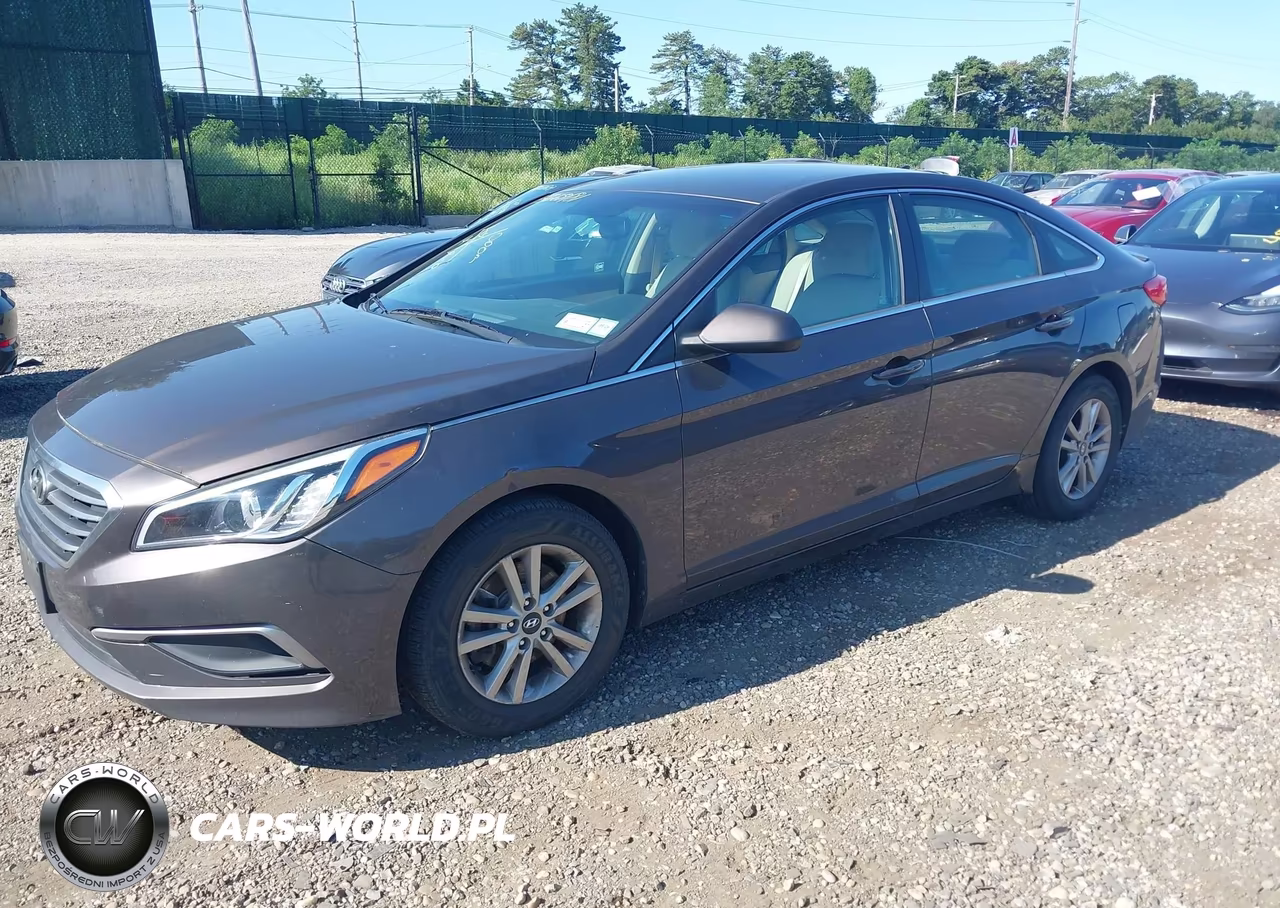 2016 Hyundai Sonata Se VIN:5NPE24AFXGH356432 - 2