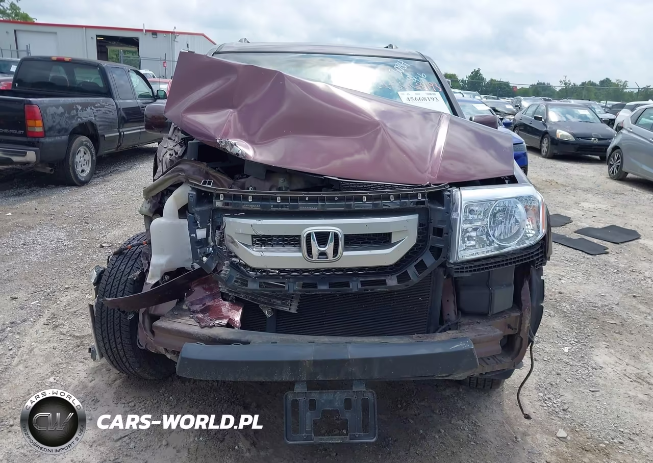 2009 Honda Pilot Ex-L VIN:5FNYF38559B013084 - 12