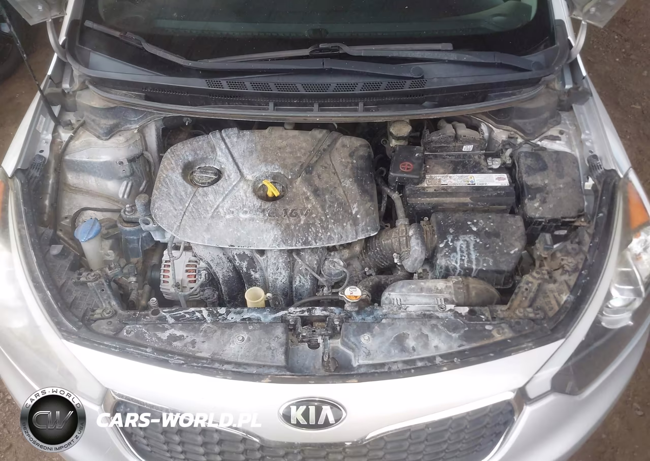 2015 Kia Forte Lx VIN:KNAFK4A63F5371533 - 10