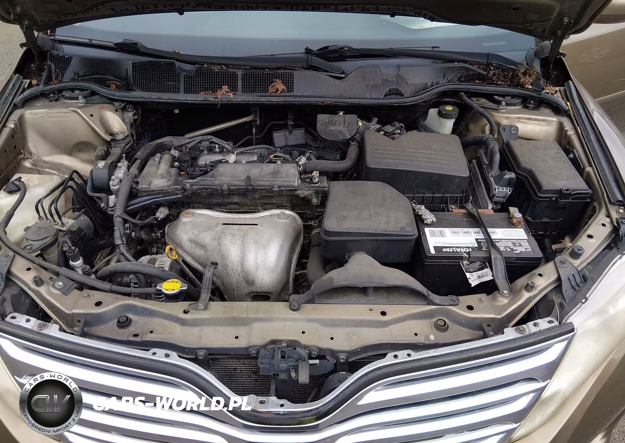 2010 Toyota Venza VIN:4T3ZA3BB4AU037621 - 10