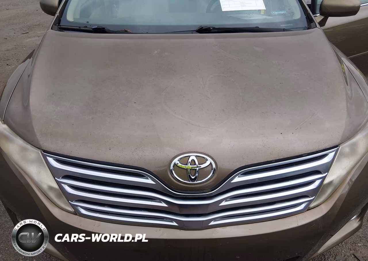 2010 Toyota Venza VIN:4T3ZA3BB4AU037621 - 6