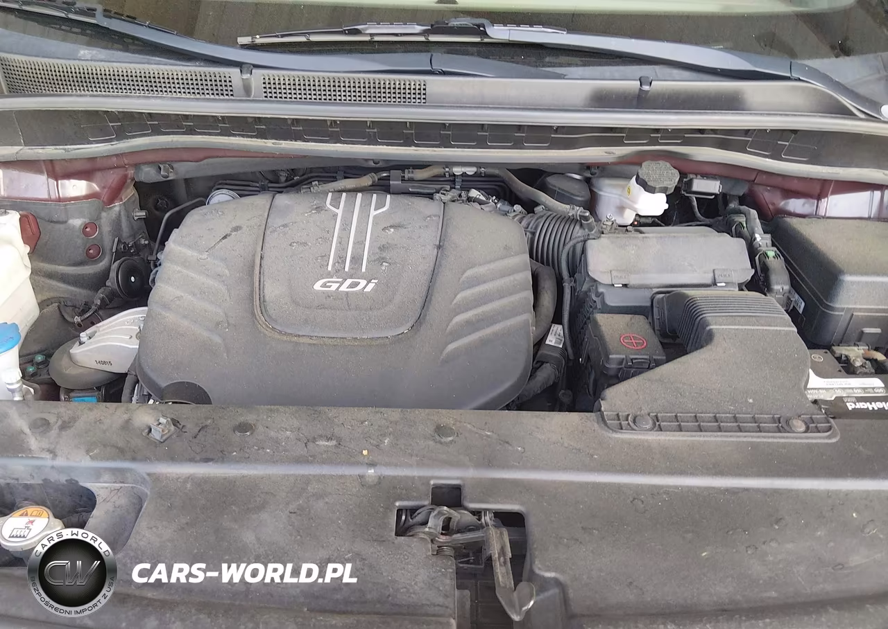 2015 Kia Sedona Sx Luxury VIN:KNDME5C19F6020306 - 10