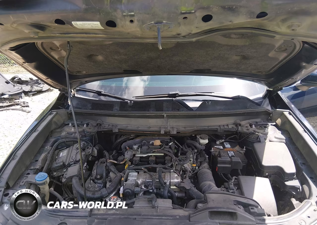 2016 Mazda Cx-9 Grand Touring VIN:JM3TCADY9G0107379 - 10