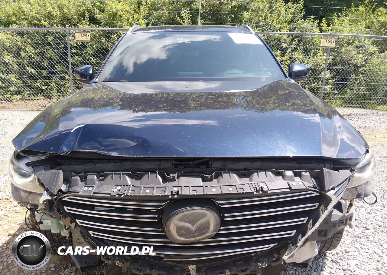 2016 Mazda Cx-9 Grand Touring VIN:JM3TCADY9G0107379 - 12