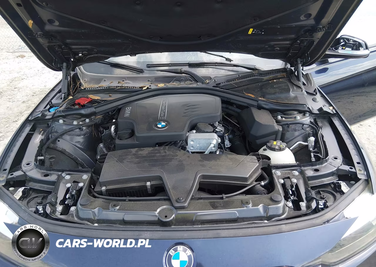 2017 BMW 320I VIN:WBA8E1G5XHNU13678 - 10