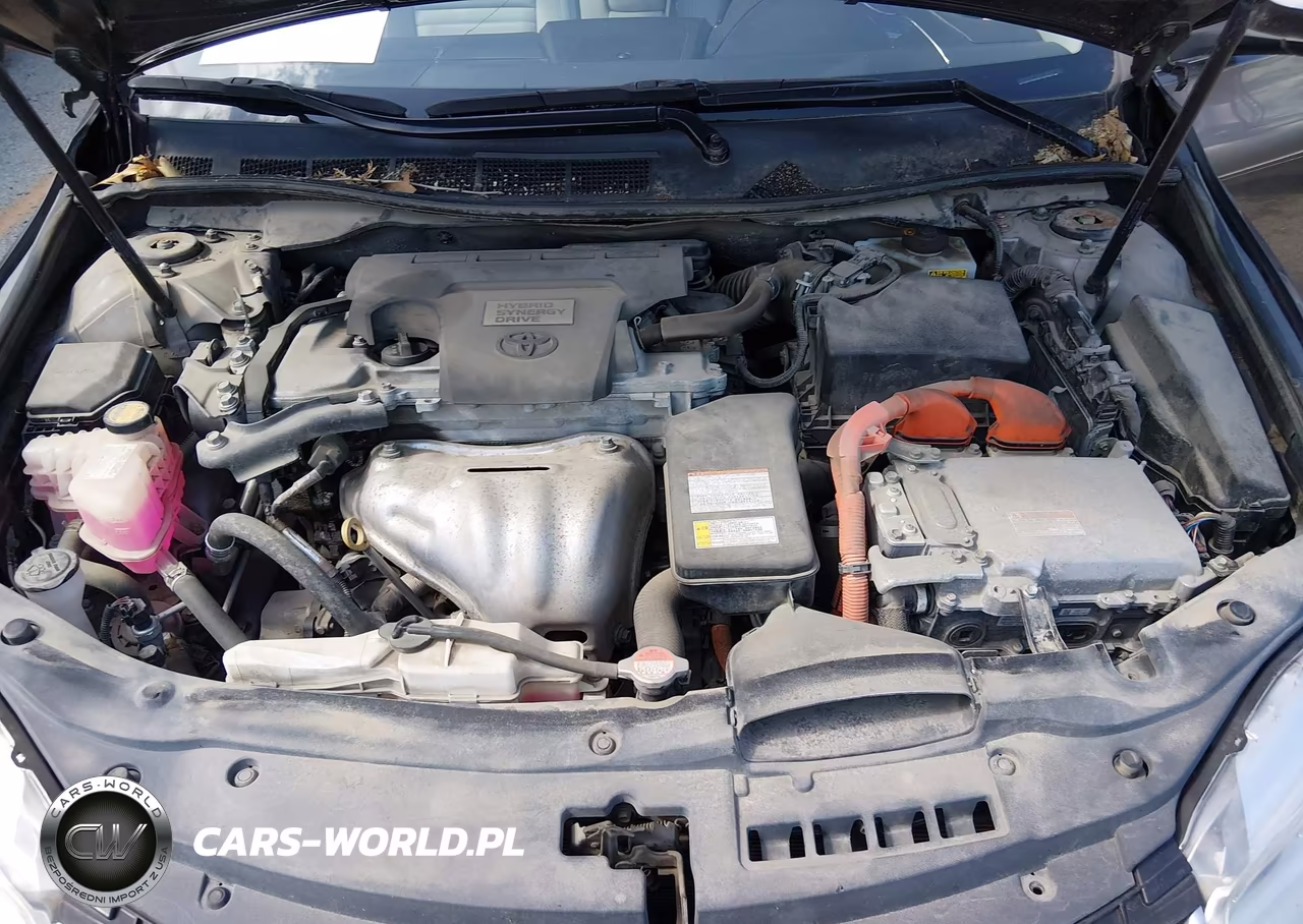 2016 Toyota Camry Hybrid Xle VIN:4T1BD1FK2GU197943 - 10