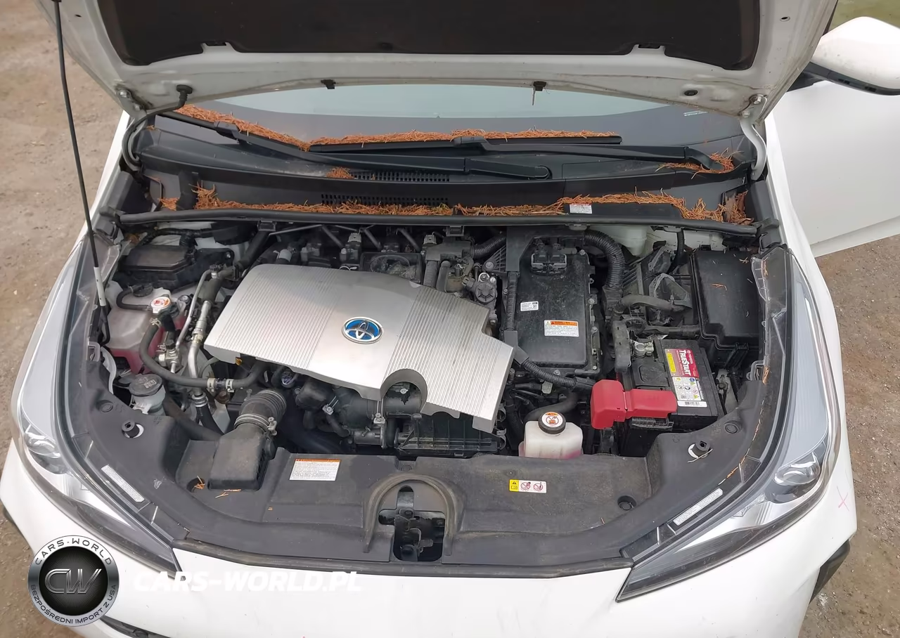 2021 Toyota Prius Le VIN:JTDKAMFU5M3145224 - 10
