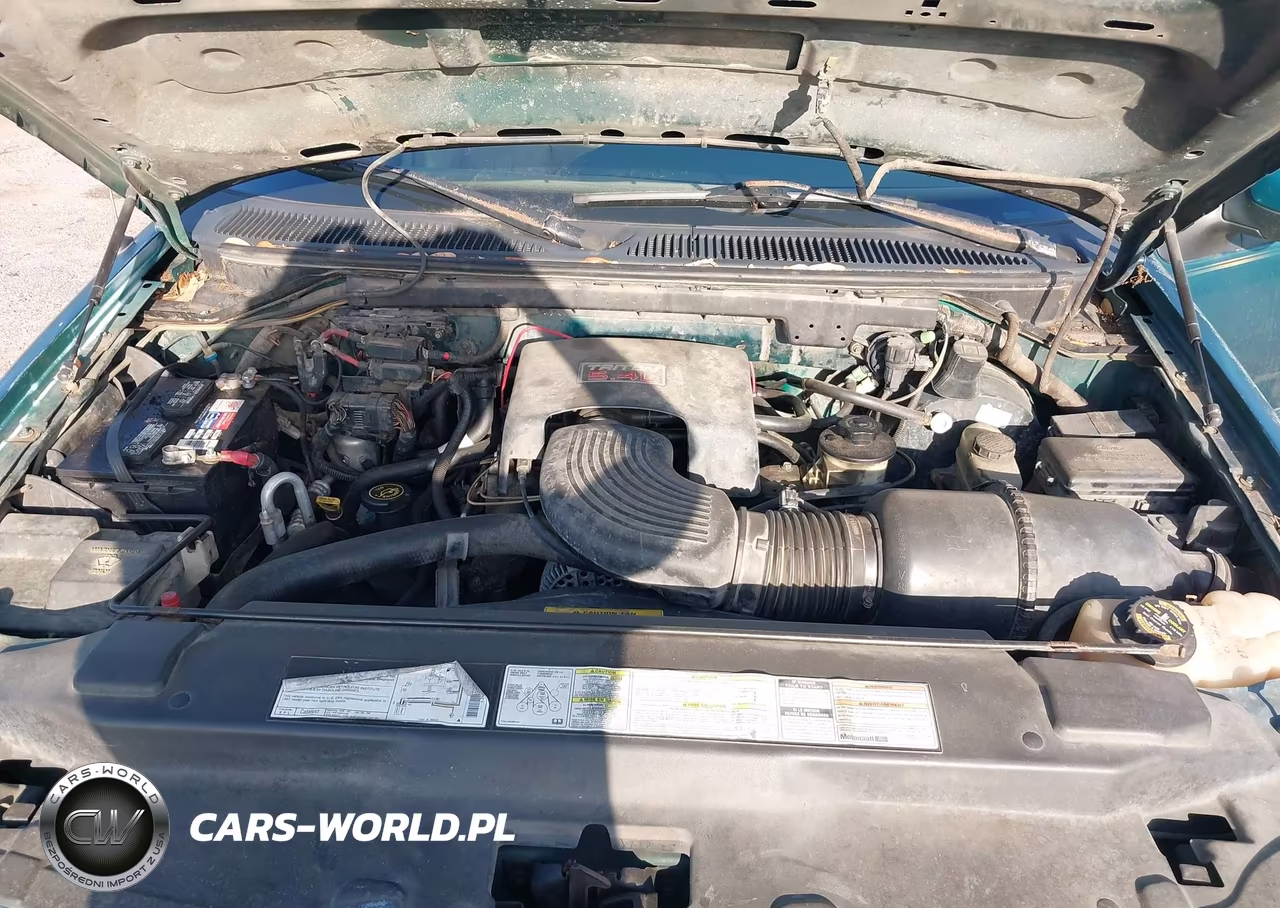 1997 Ford Expedition Eddie Bauer-Xlt VIN:1FMEU17L5VLB38828 - 10