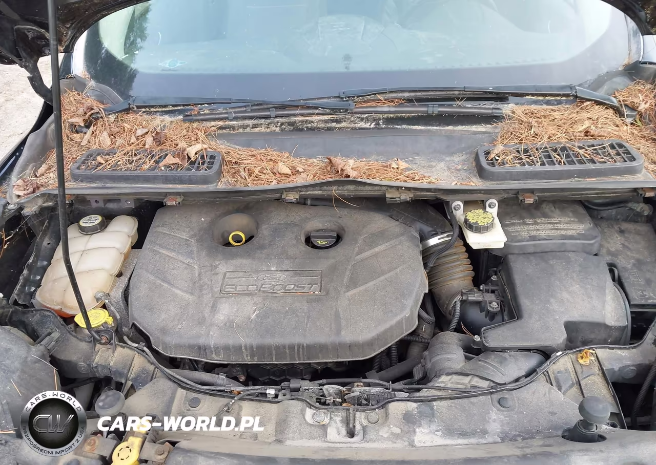 2013 Ford Escape Se VIN:1FMCU9G92DUD62349 - 10