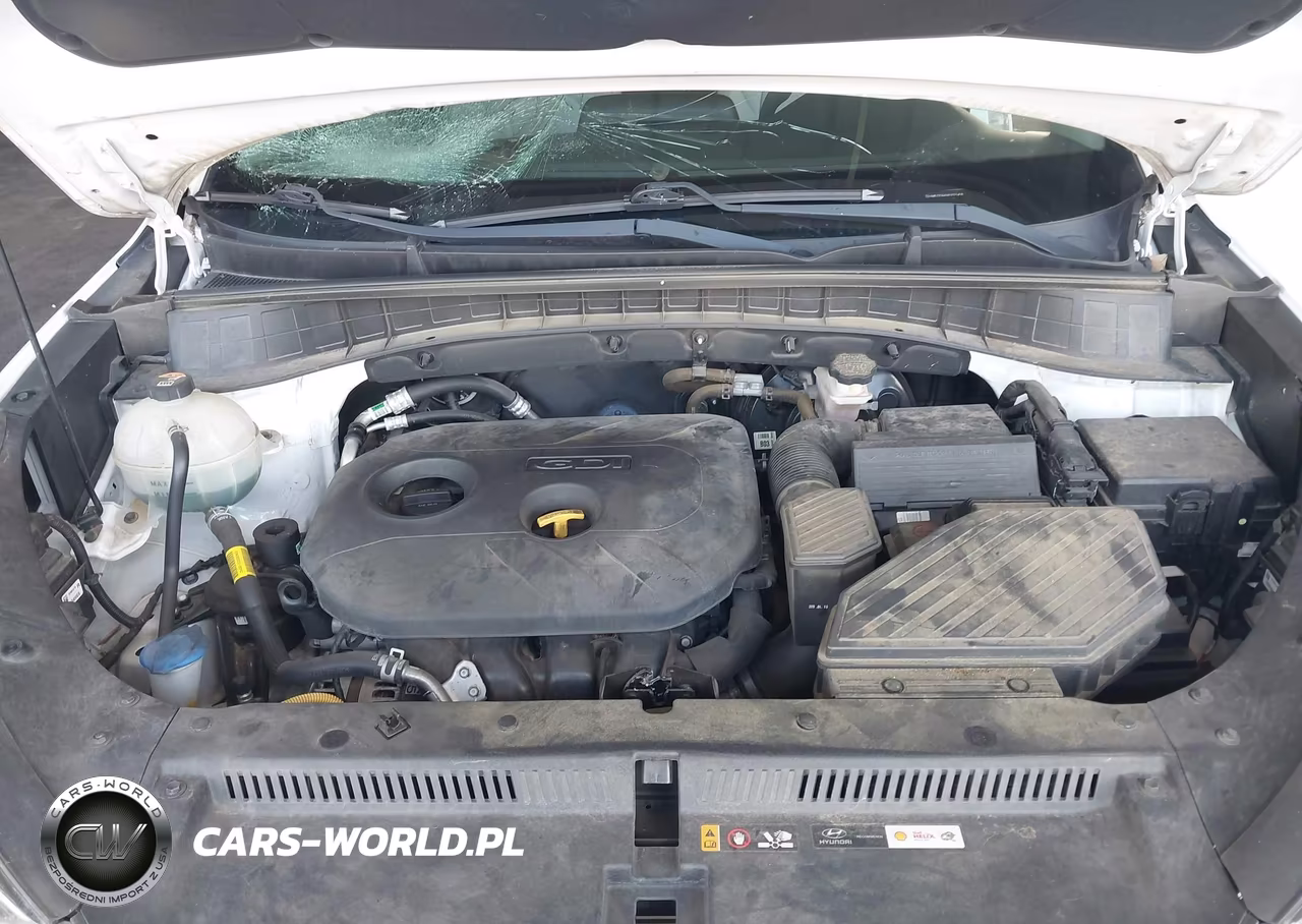 2019 Hyundai Tucson Value VIN:KM8J33A4XKU021458 - 10
