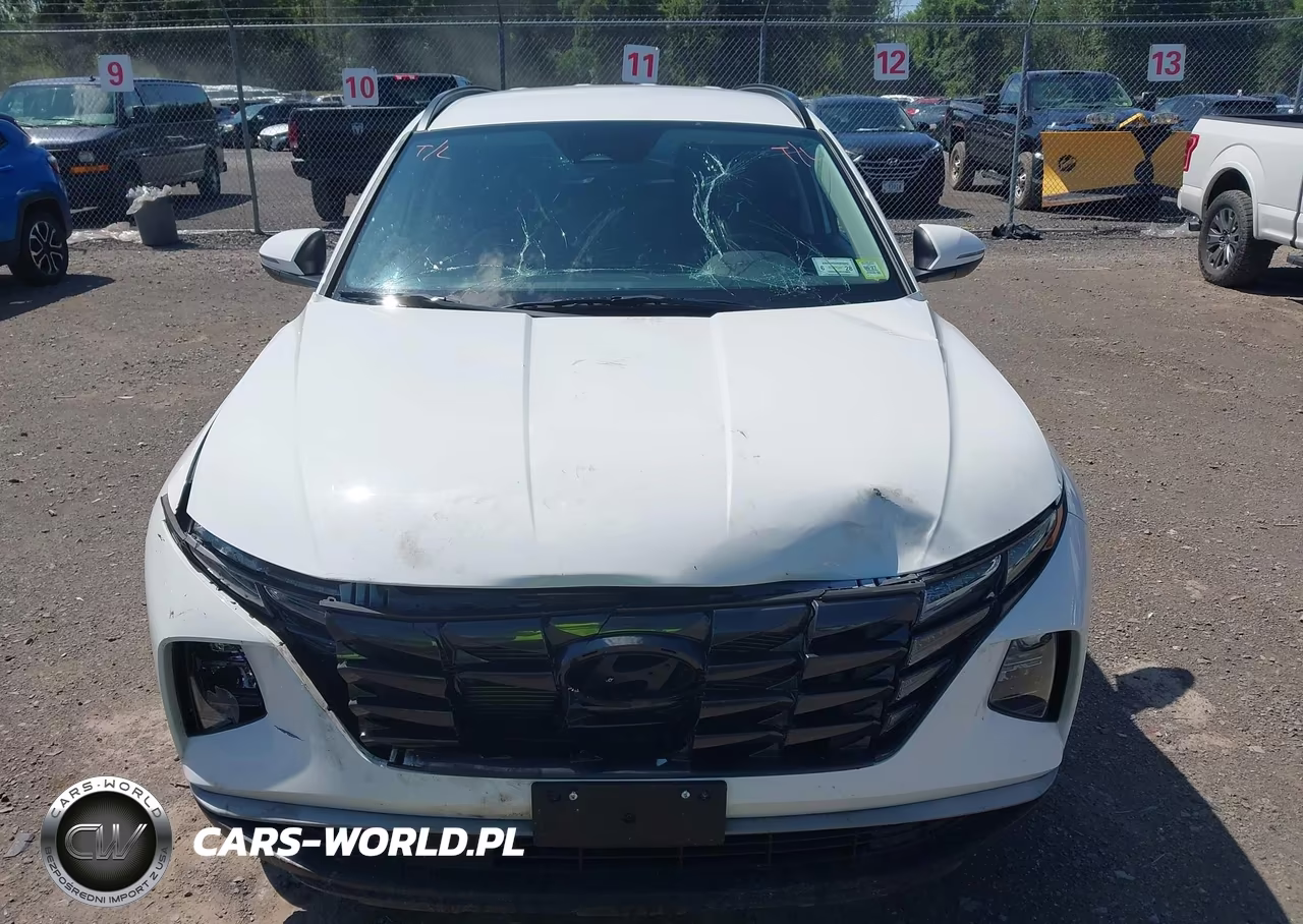 2023 Hyundai Tucson Sel VIN:5NMJBCAE8PH260067 - 12
