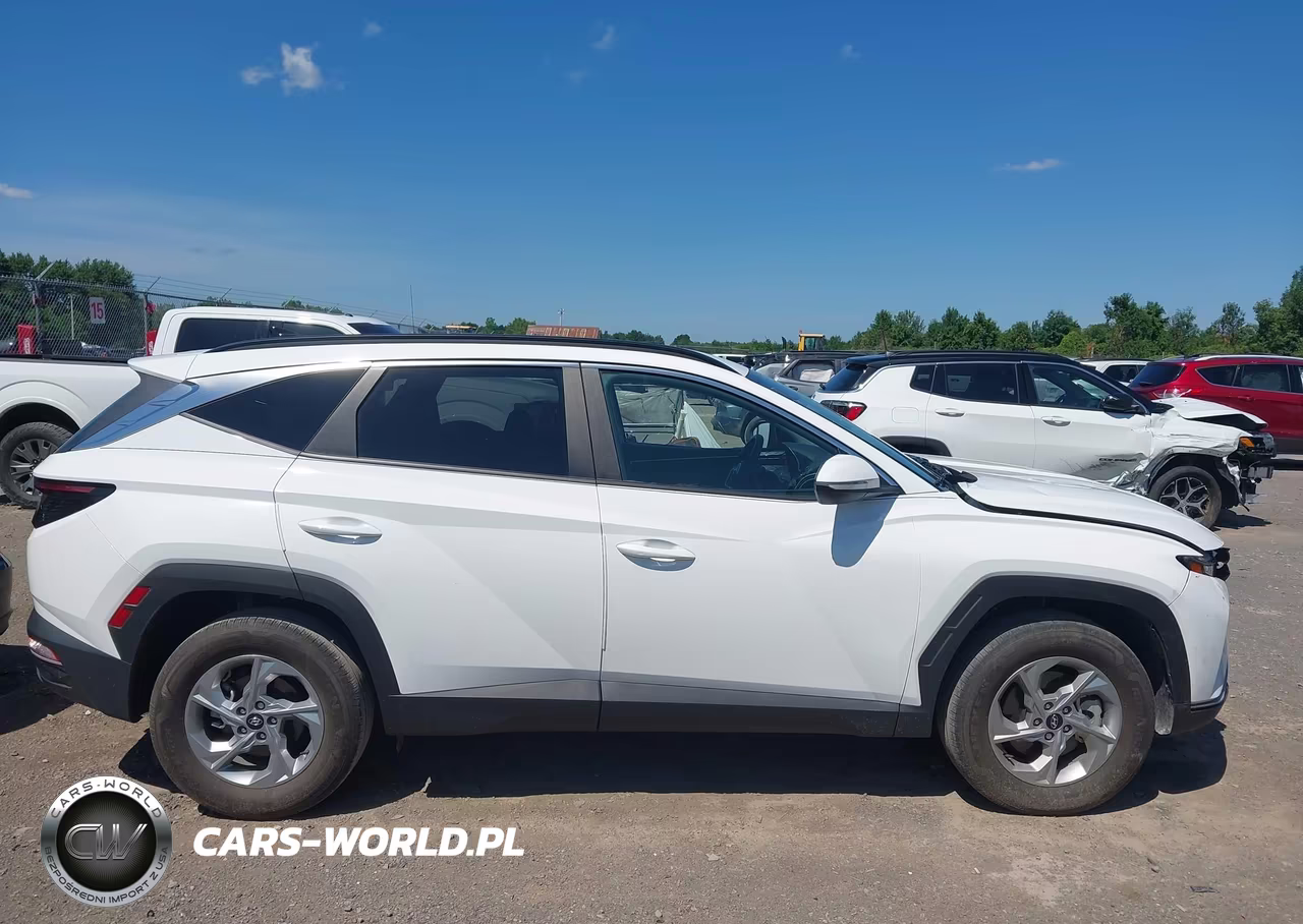 2023 Hyundai Tucson Sel VIN:5NMJBCAE8PH260067 - 13