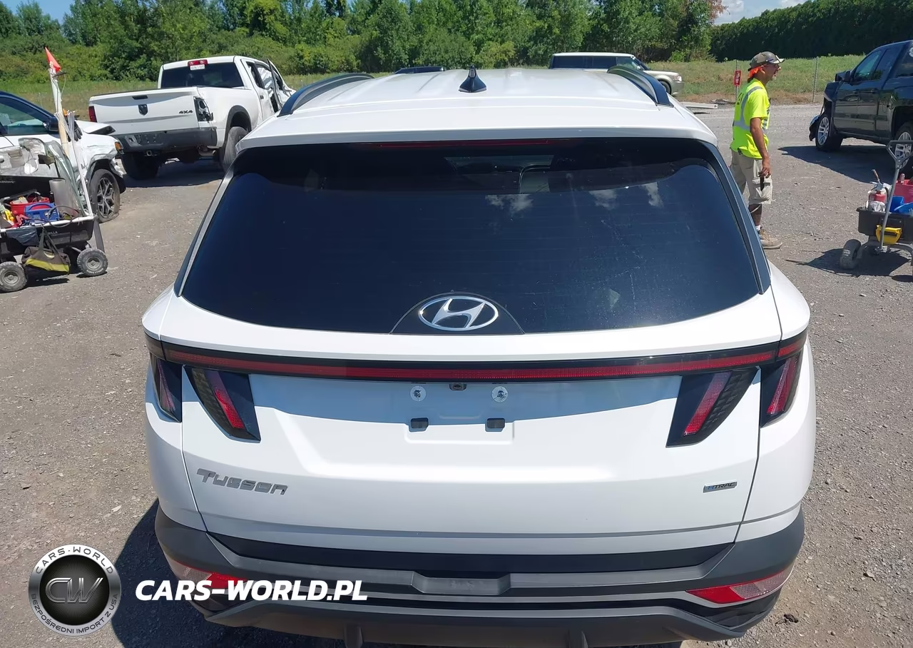 2023 Hyundai Tucson Sel VIN:5NMJBCAE8PH260067 - 16