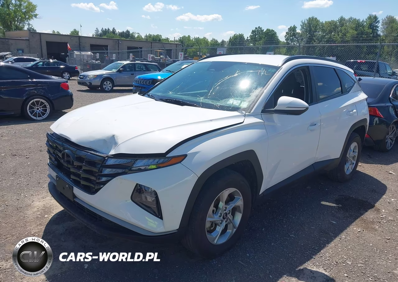 2023 Hyundai Tucson Sel VIN:5NMJBCAE8PH260067 - 2