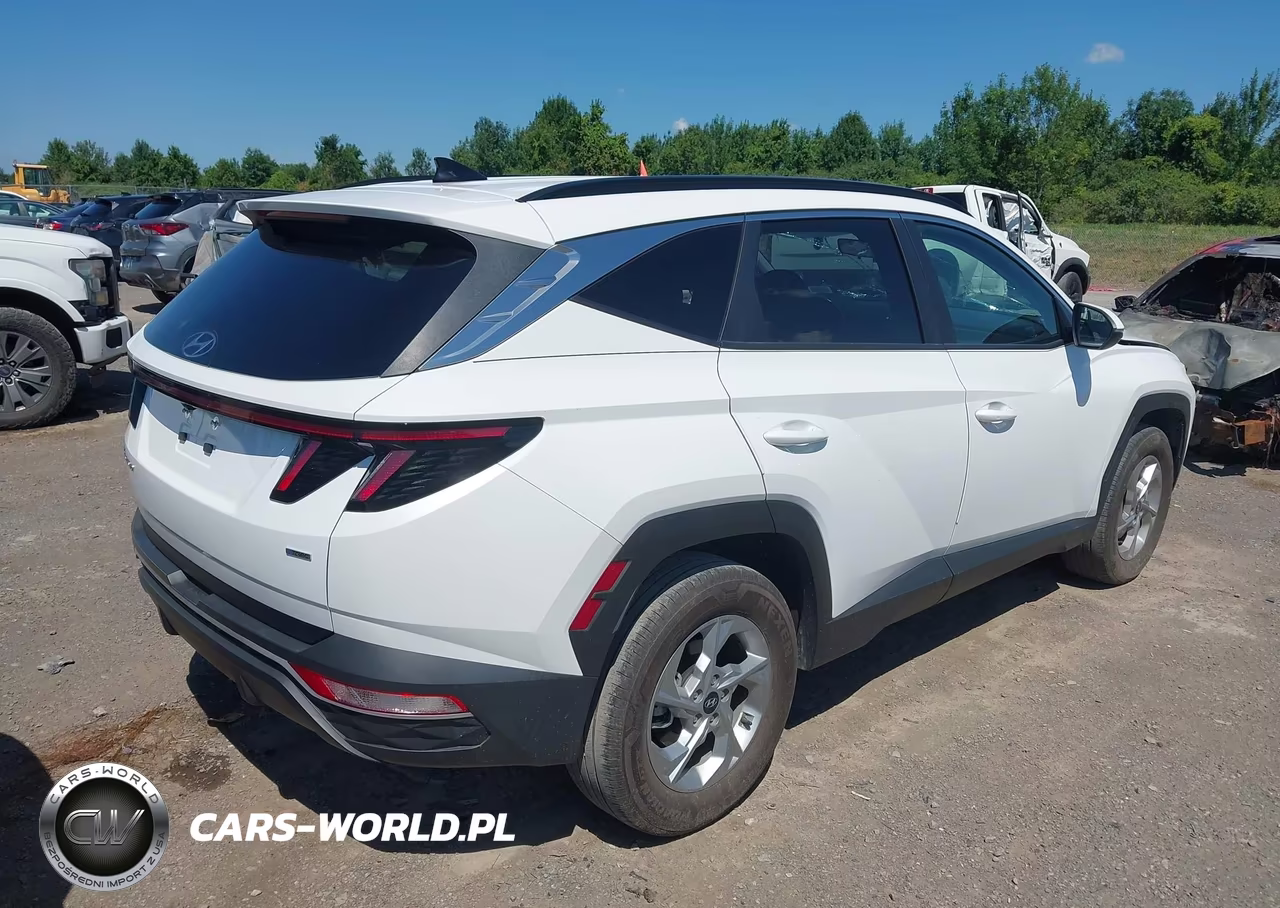 2023 Hyundai Tucson Sel VIN:5NMJBCAE8PH260067 - 4