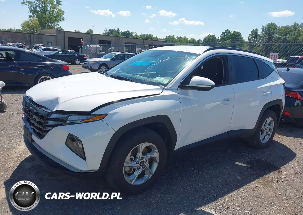 2023 Hyundai Tucson Sel VIN:5NMJBCAE8PH260067 - 6