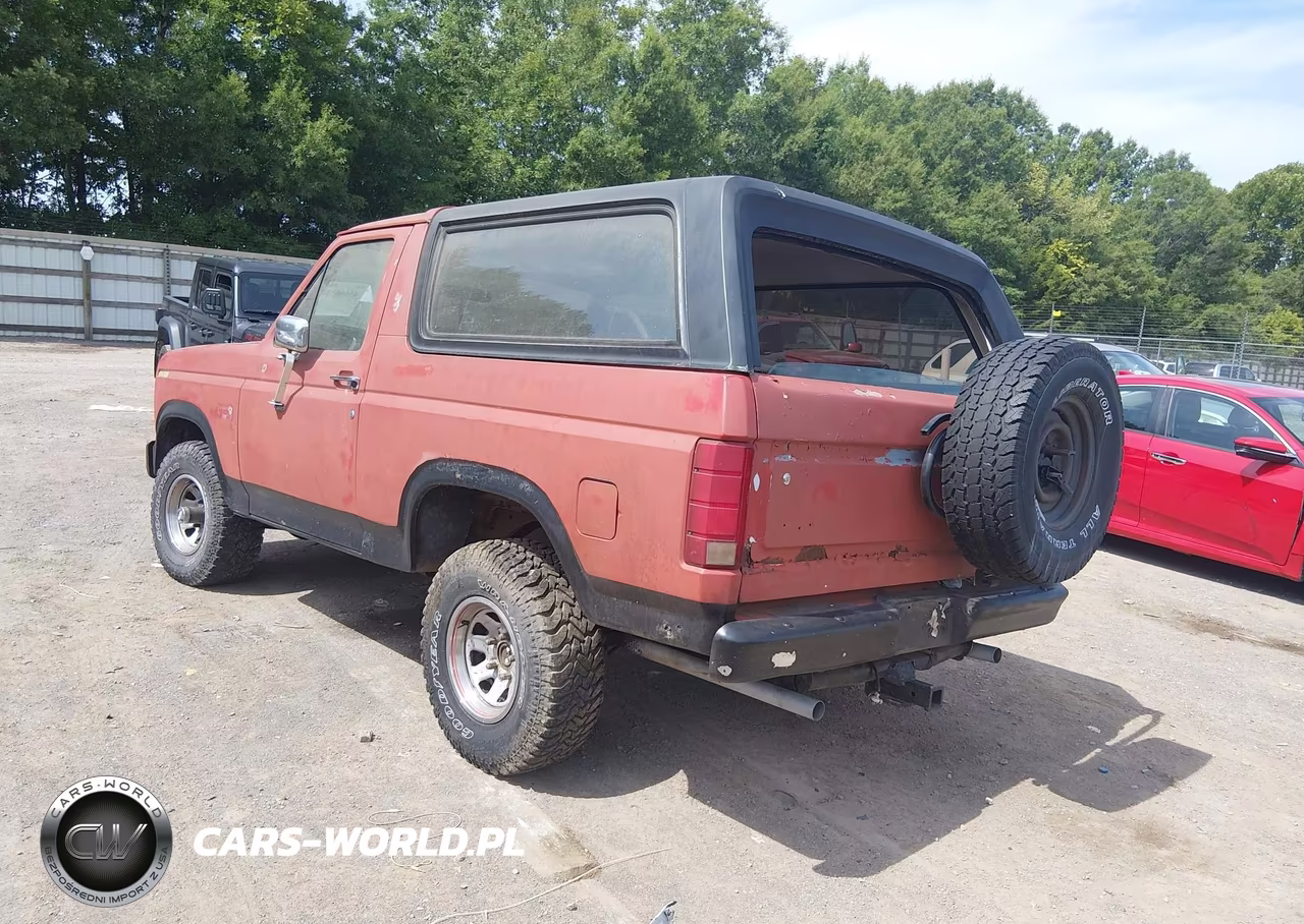 1986 Ford Bronco U100 VIN:1FMDU15NXGLA81979 - 3