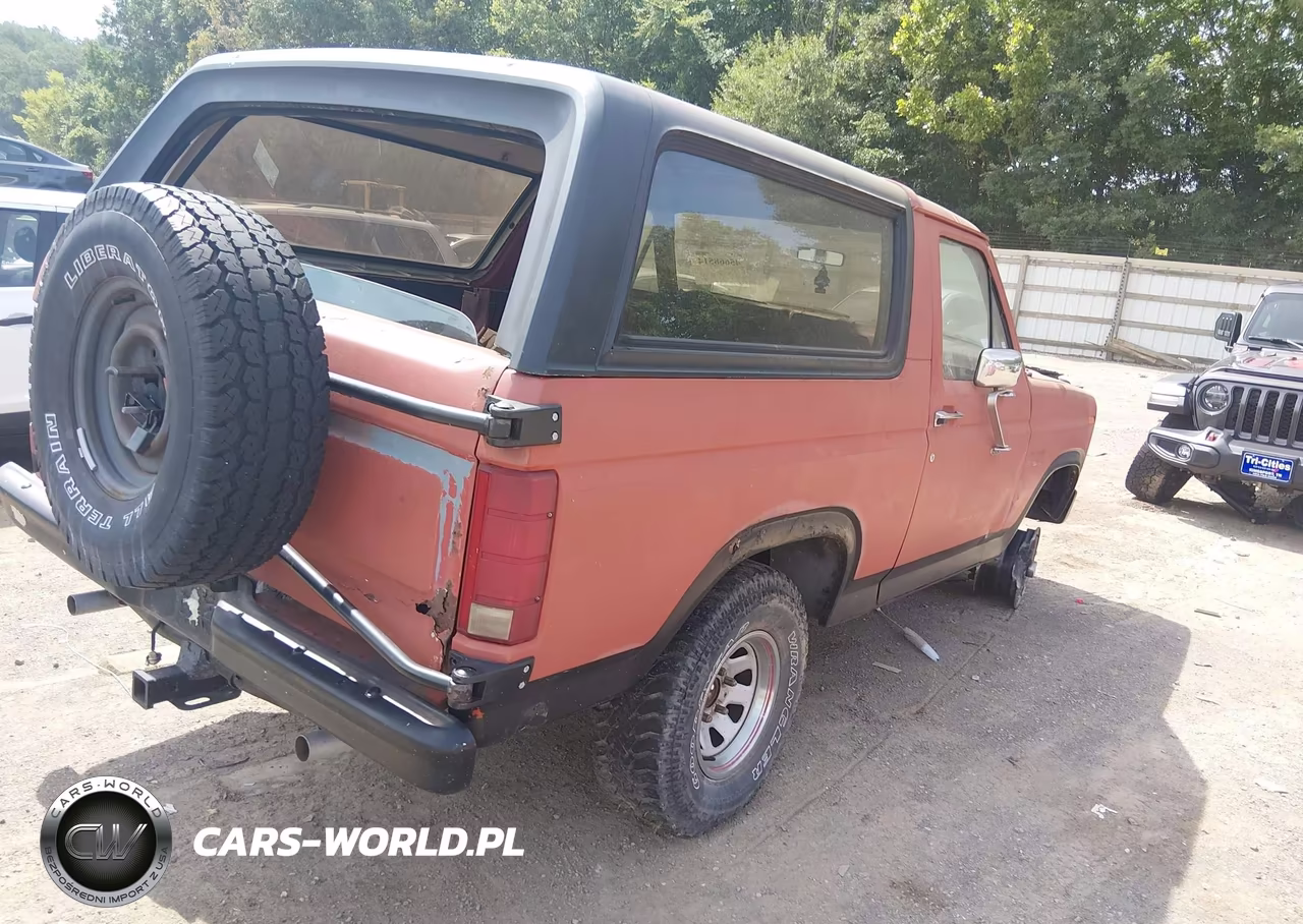 1986 Ford Bronco U100 VIN:1FMDU15NXGLA81979 - 4