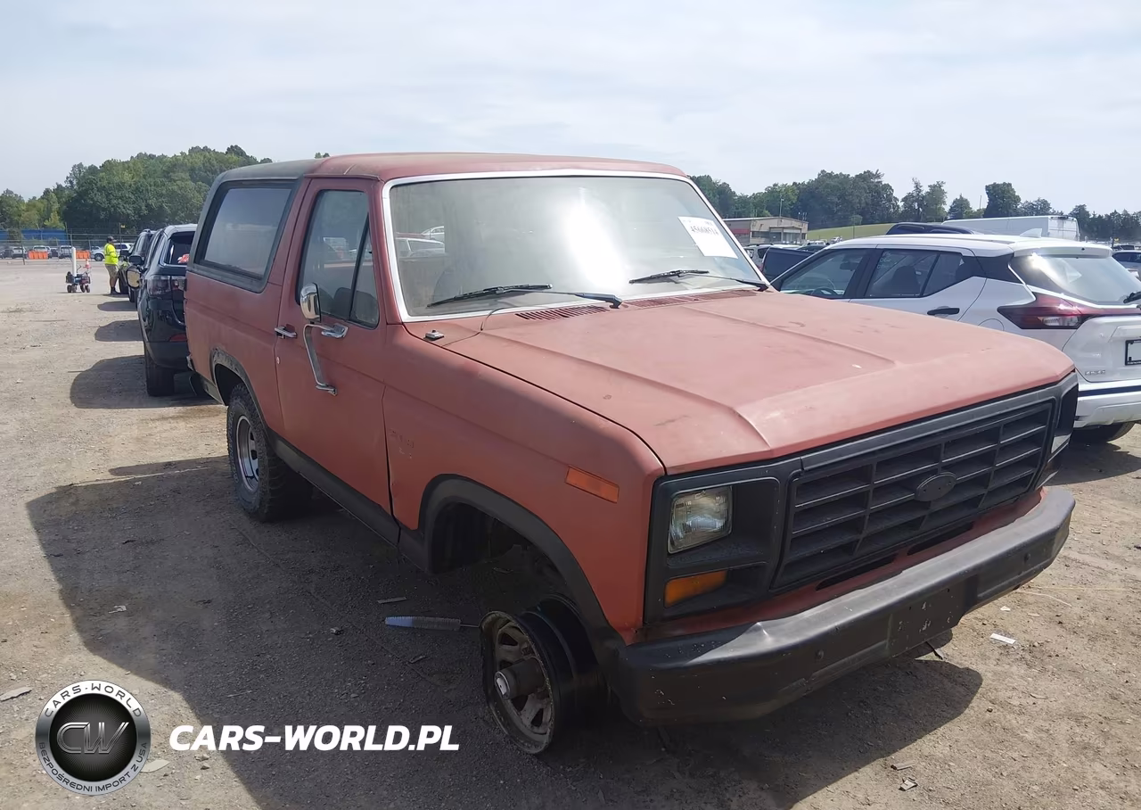 1986 Ford Bronco U100 VIN:1FMDU15NXGLA81979 - 6