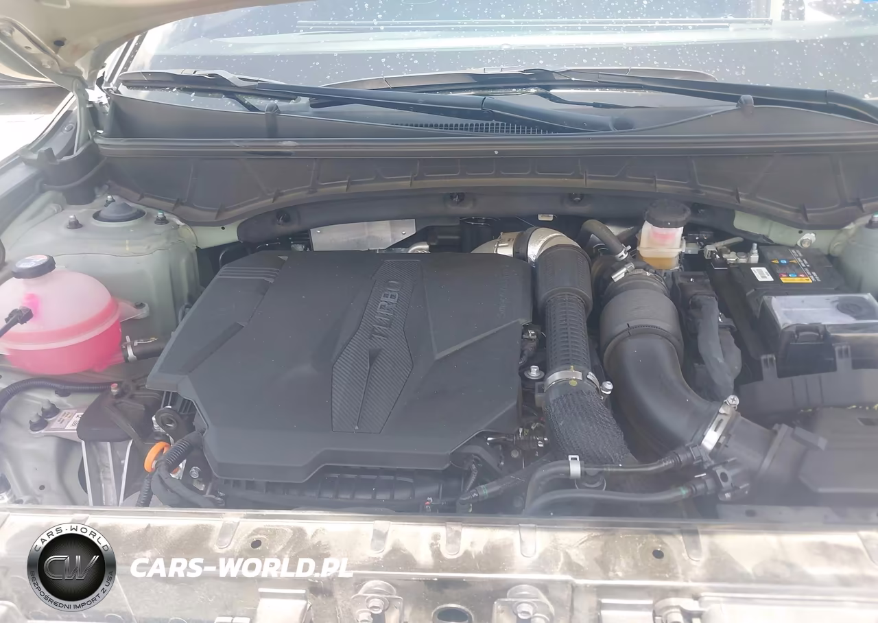 2024 Hyundai Santa Cruz Limited VIN:5NTJEDDF3RH125703 - 3