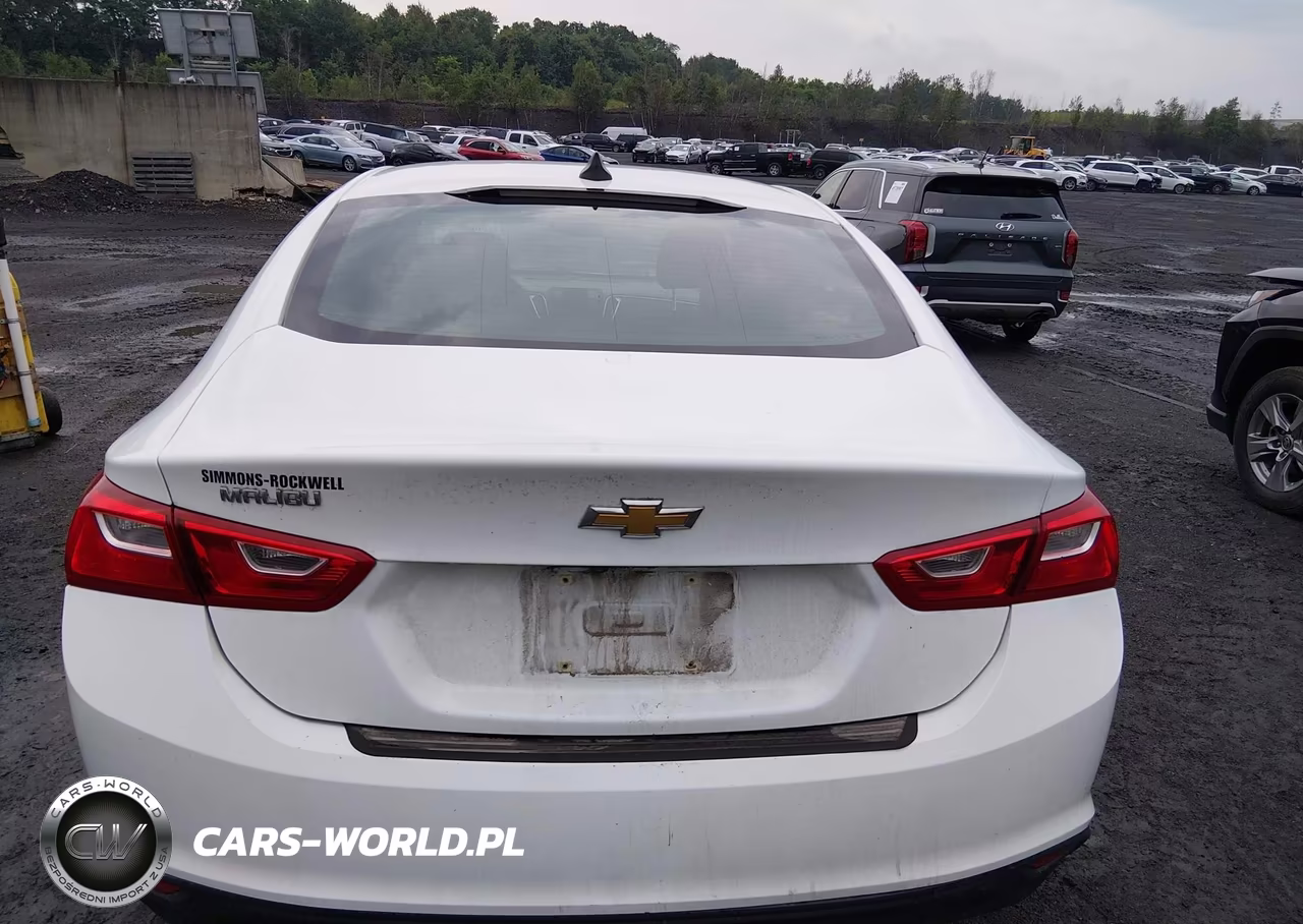 2019 Chevrolet Malibu 1Ls VIN:1G1ZB5ST6KF133067 - 16