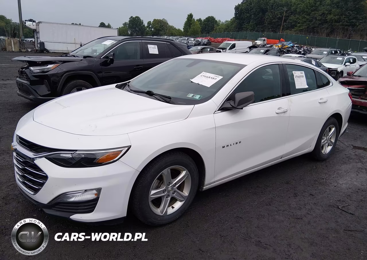 2019 Chevrolet Malibu 1Ls VIN:1G1ZB5ST6KF133067 - 2