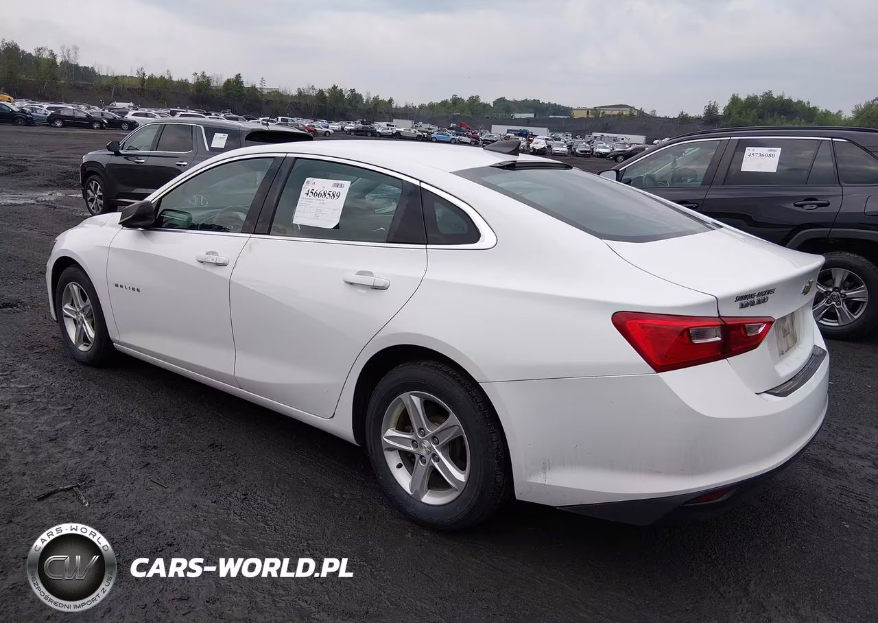 2019 Chevrolet Malibu 1Ls VIN:1G1ZB5ST6KF133067 - 3