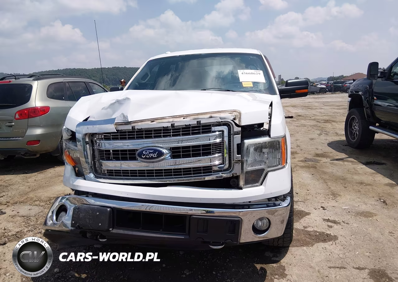 2014 Ford F-150 Xlt VIN:1FTFW1ET6EKG13771 - 12