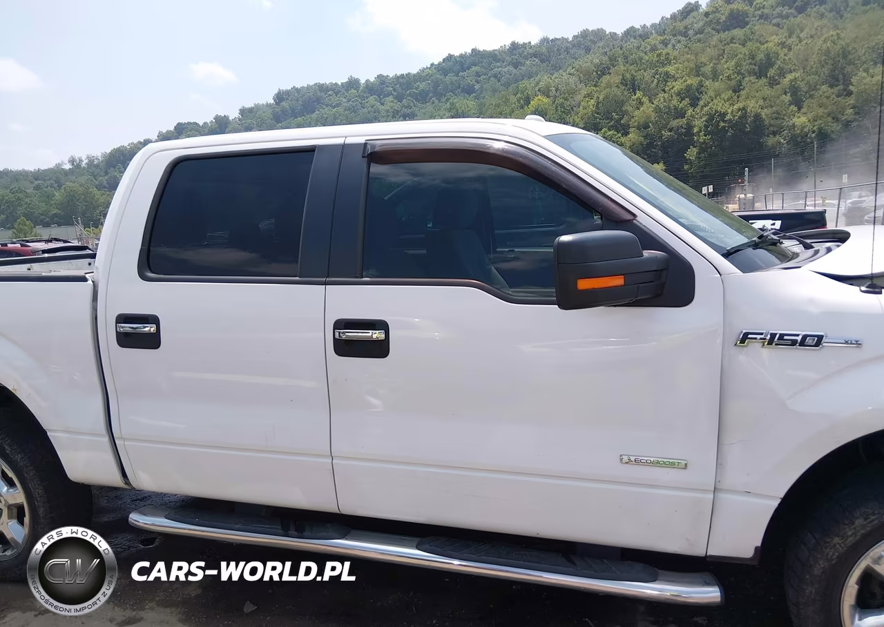 2014 Ford F-150 Xlt VIN:1FTFW1ET6EKG13771 - 13
