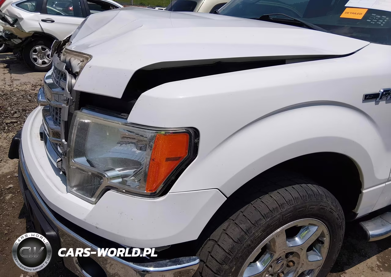 2014 Ford F-150 Xlt VIN:1FTFW1ET6EKG13771 - 18