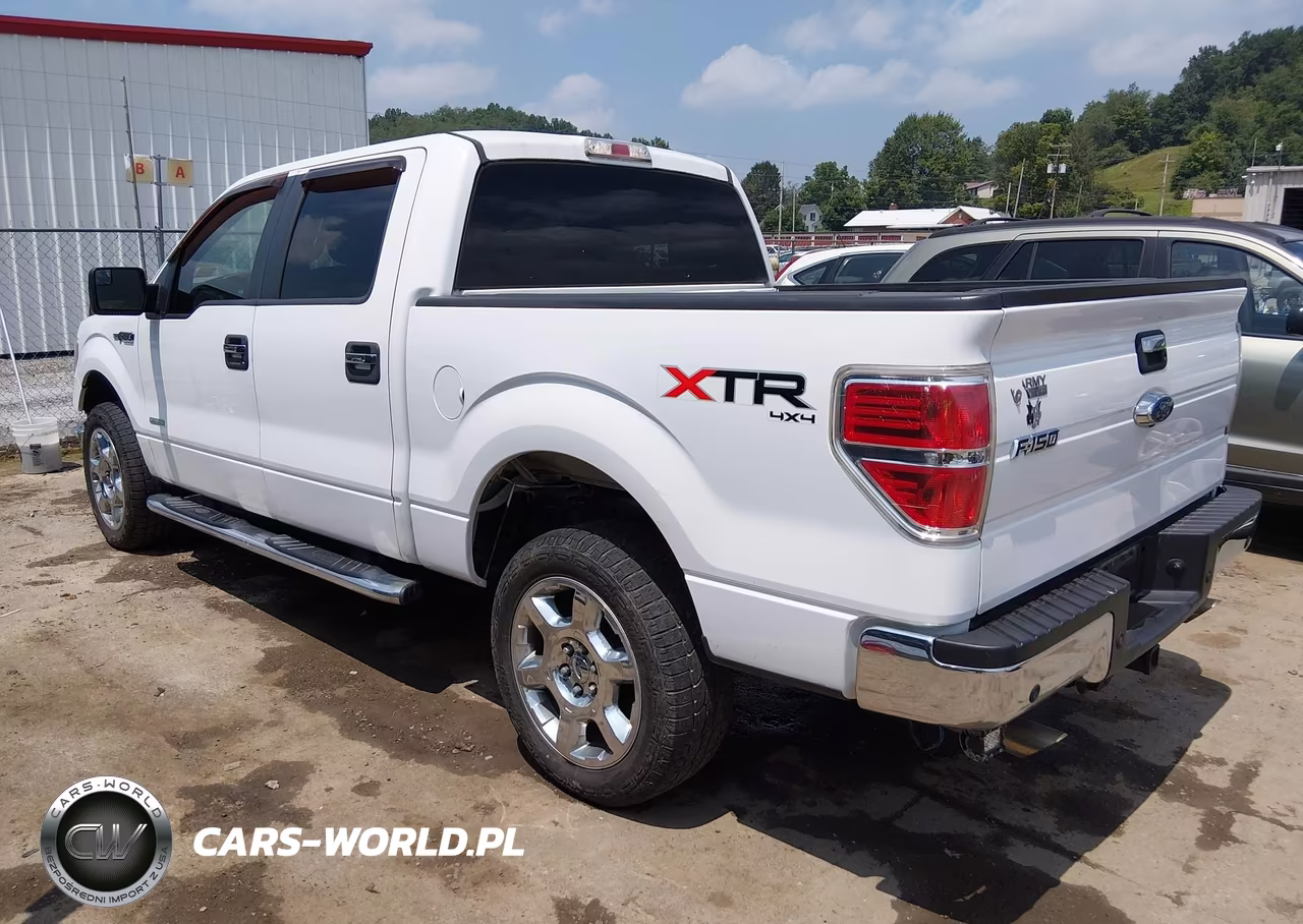 2014 Ford F-150 Xlt VIN:1FTFW1ET6EKG13771 - 3