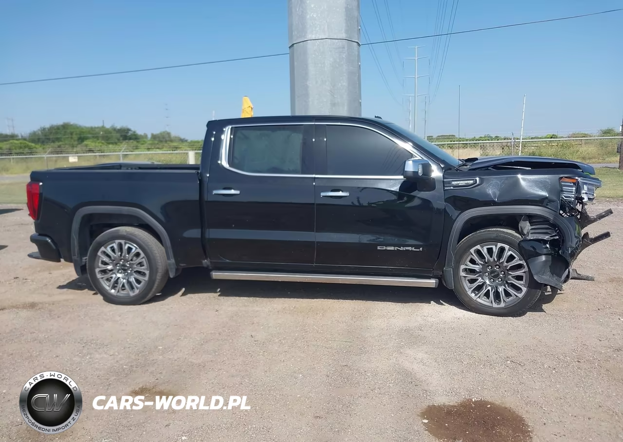 2025 GMC Sierra 1500 4Wd Short Box Denali Ultimate VIN:1GTUUHEL1SZ324077 - 13