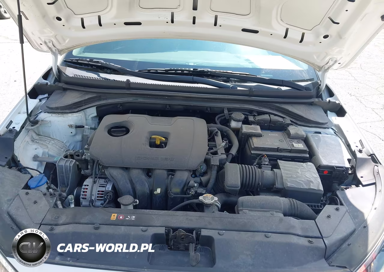 2020 Hyundai Elantra Se VIN:5NPD74LF9LH613259 - 10