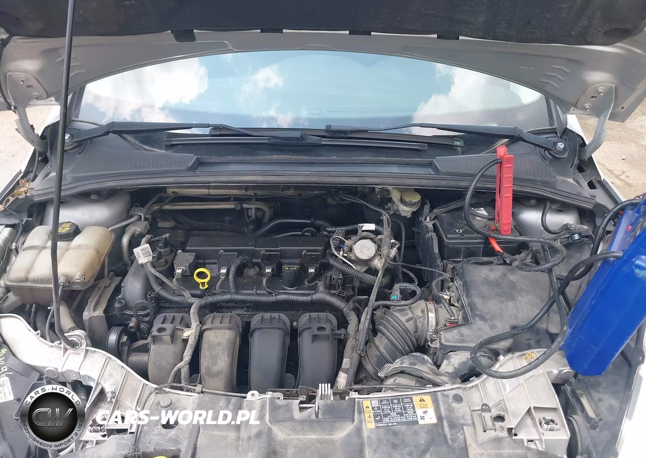 2016 Ford Focus Se VIN:1FADP3K27GL371023 - 10