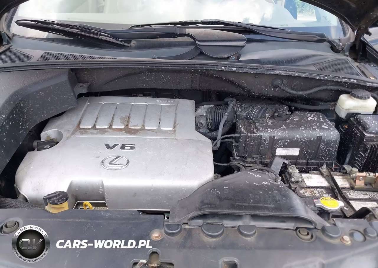 2008 Lexus Rx 350 VIN:2T2HK31U78C069572 - 10