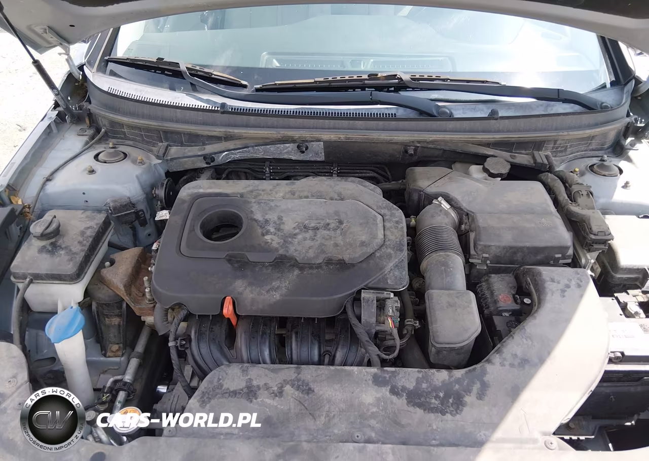 2015 Hyundai Sonata Se VIN:5NPE24AF6FH203075 - 10