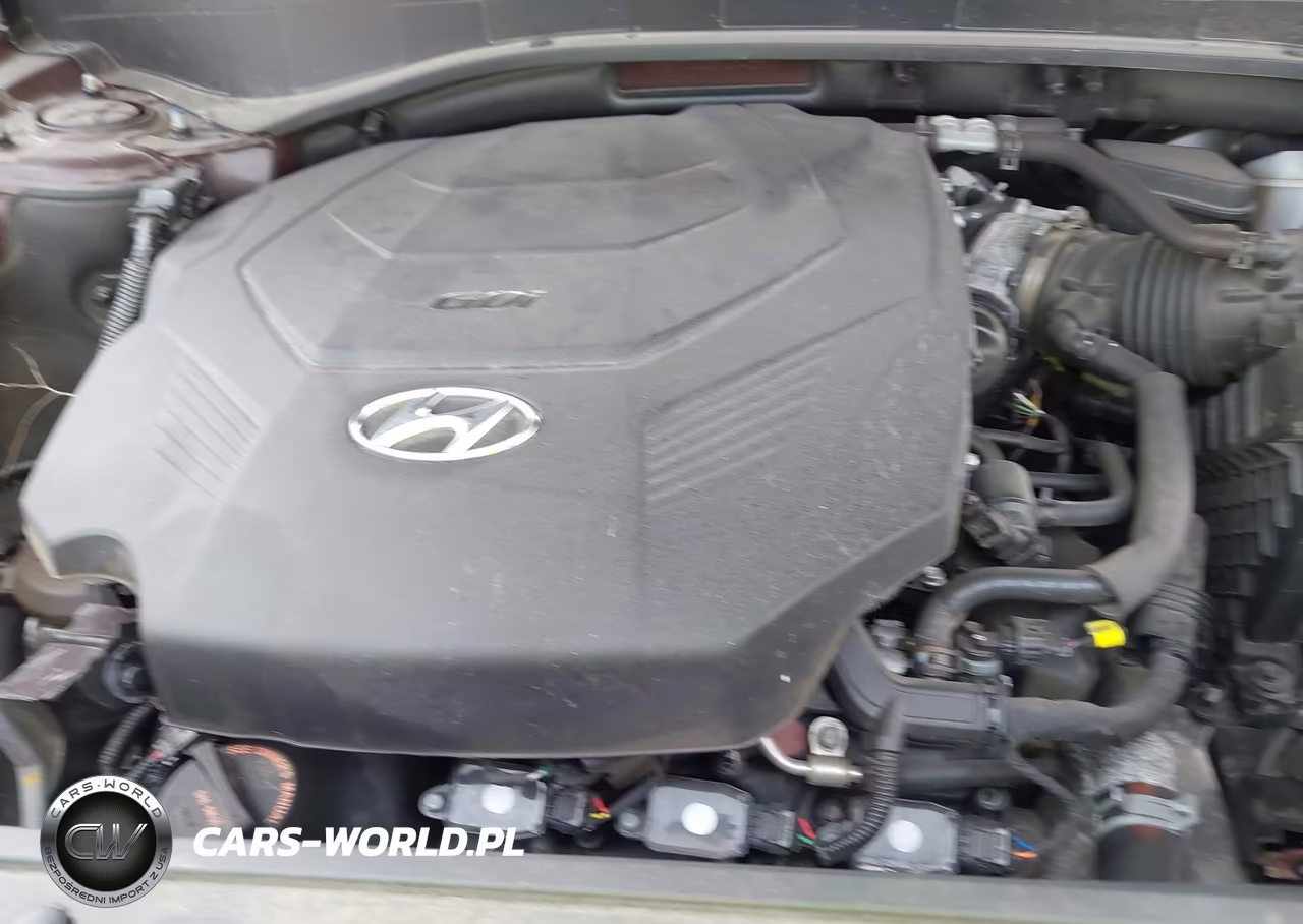 2023 Hyundai Palisade Calligraphy VIN:KM8R7DGE0PU640073 - 10
