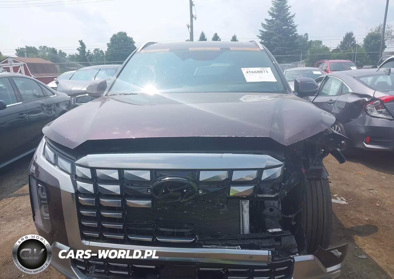 2023 Hyundai Palisade Calligraphy VIN:KM8R7DGE0PU640073 - 12