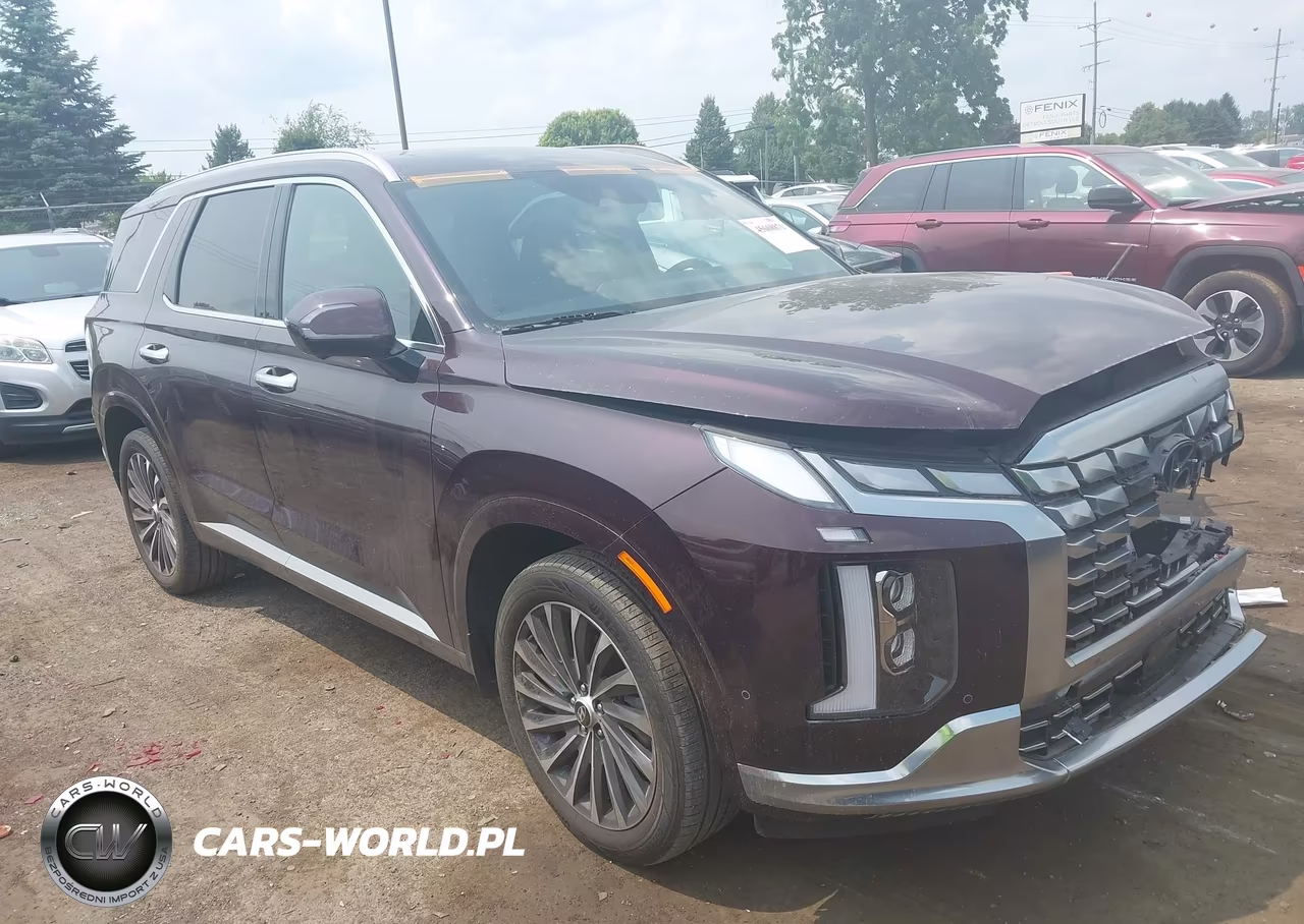 2023 Hyundai Palisade Calligraphy VIN:KM8R7DGE0PU640073 - 13