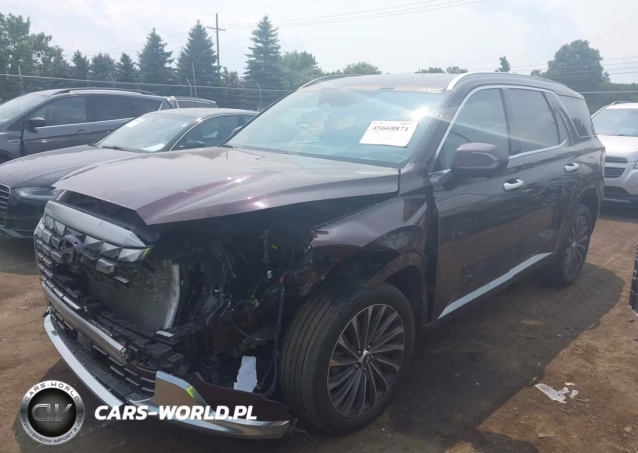 2023 Hyundai Palisade Calligraphy VIN:KM8R7DGE0PU640073 - 2