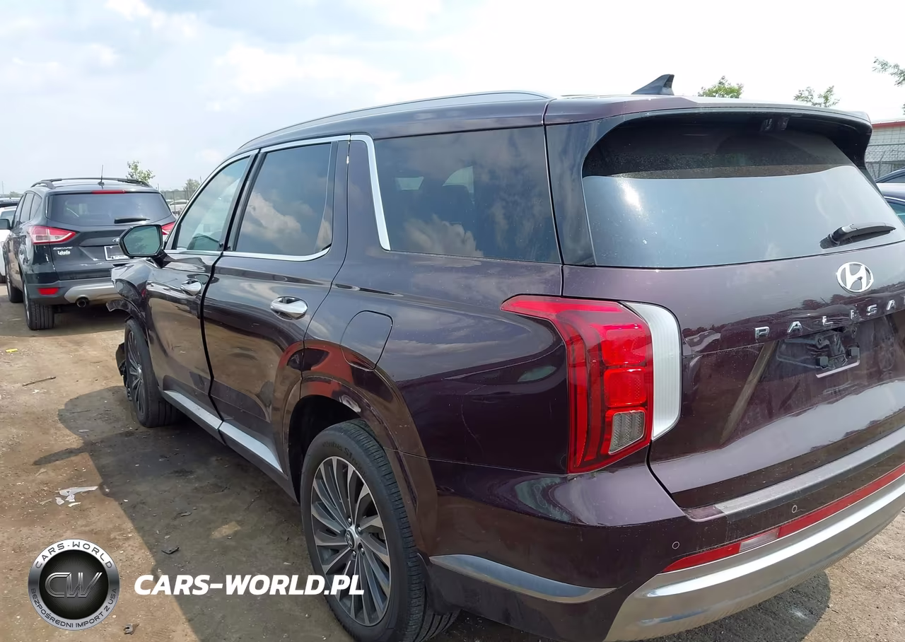2023 Hyundai Palisade Calligraphy VIN:KM8R7DGE0PU640073 - 3