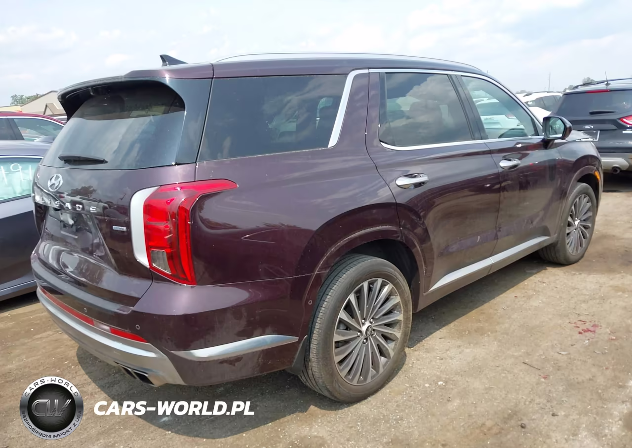 2023 Hyundai Palisade Calligraphy VIN:KM8R7DGE0PU640073 - 4