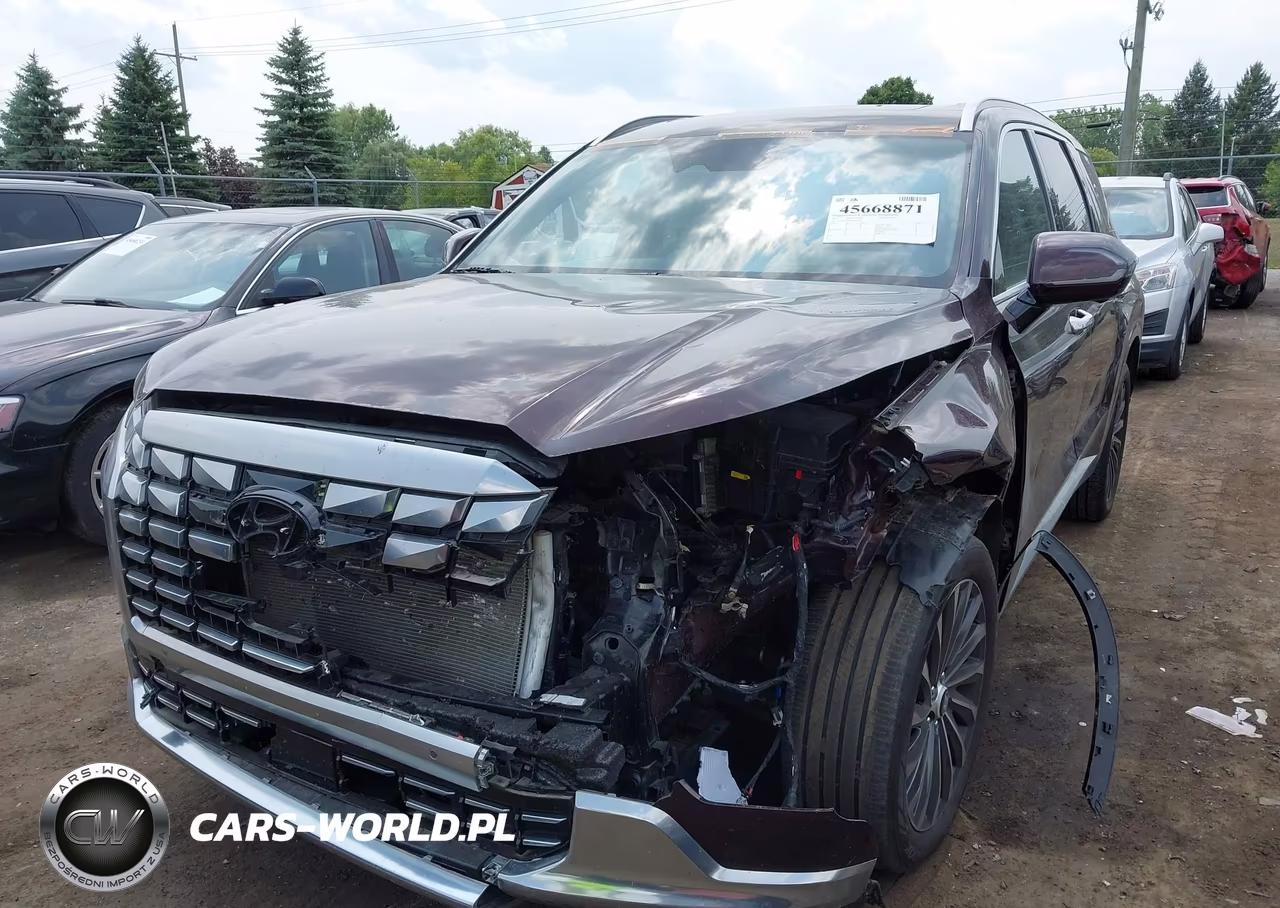 2023 Hyundai Palisade Calligraphy VIN:KM8R7DGE0PU640073 - 6