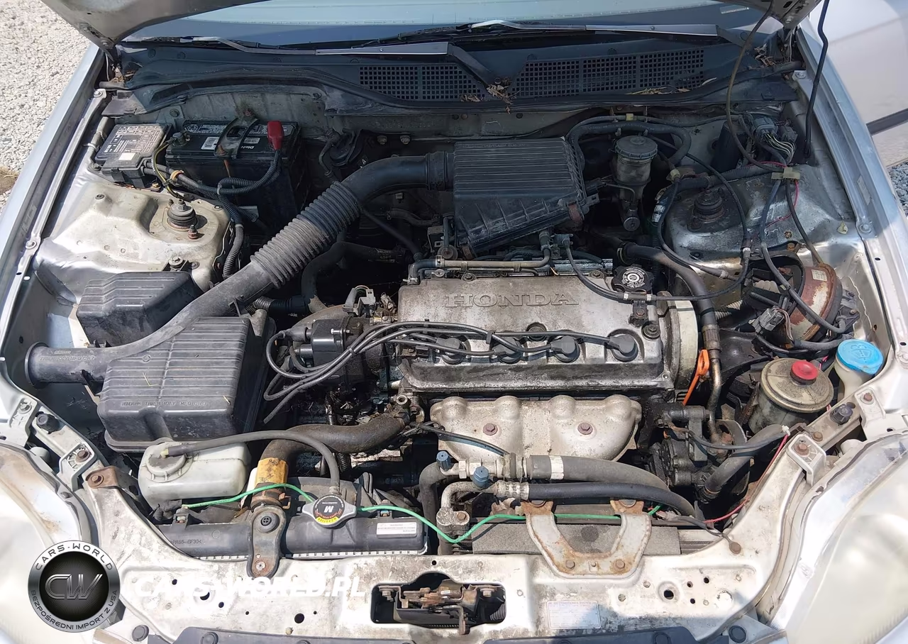 1998 Honda Civic Lx VIN:1HGEJ6678WL003389 - 10