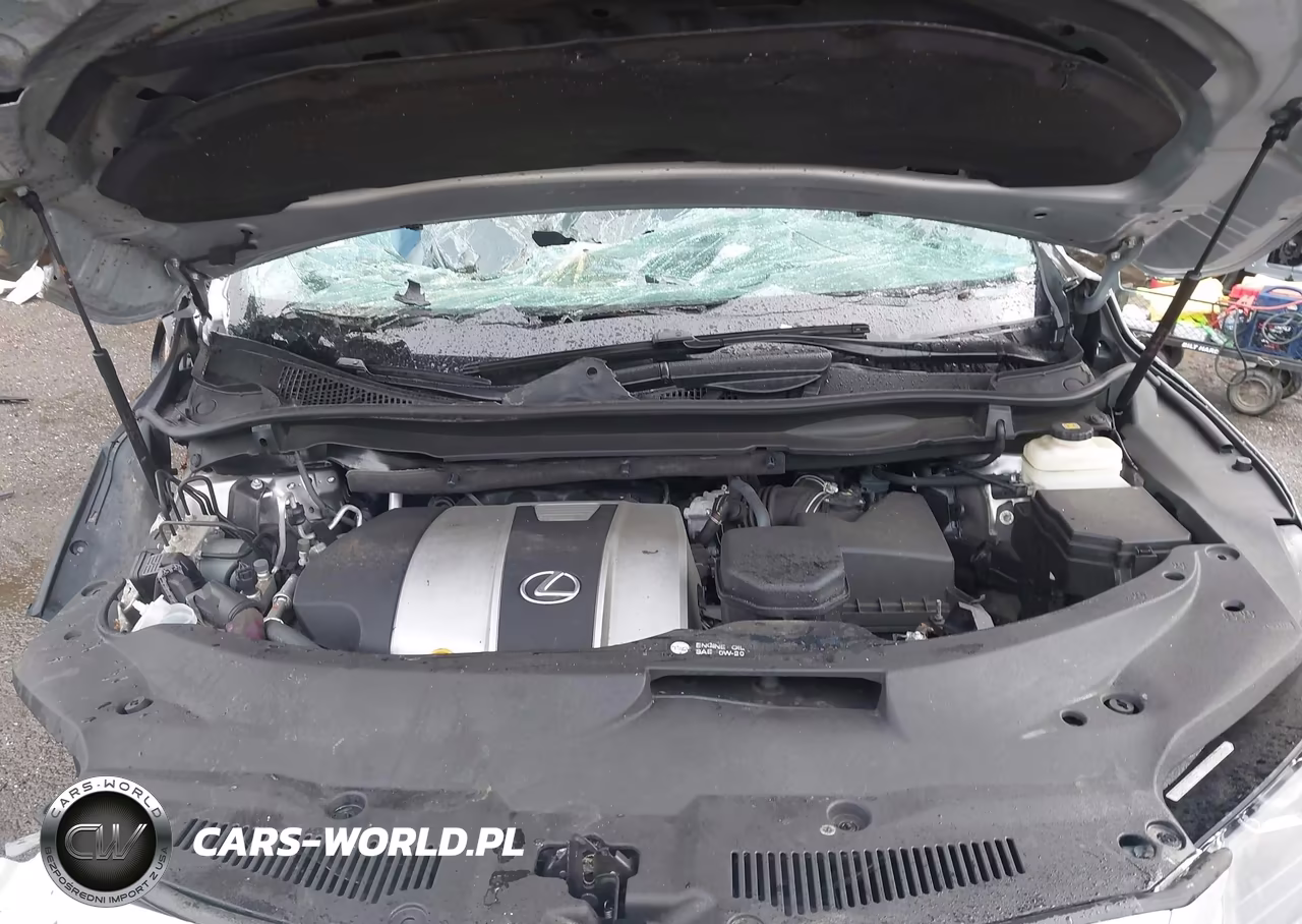 2019 Lexus Rx 350 VIN:2T2BZMCA8KC174655 - 10