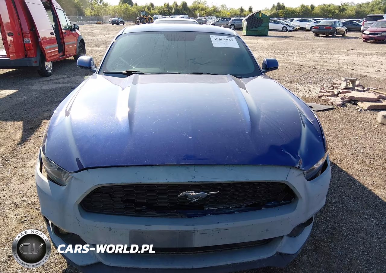2016 Ford Mustang V6 VIN:1FA6P8AM8G5219460 - 12