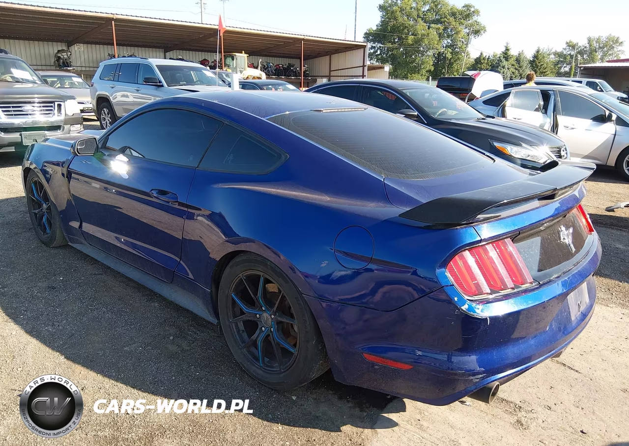 2016 Ford Mustang V6 VIN:1FA6P8AM8G5219460 - 3